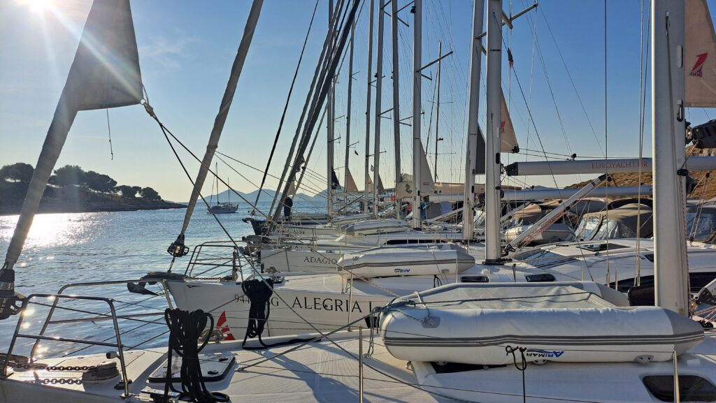sailing basics